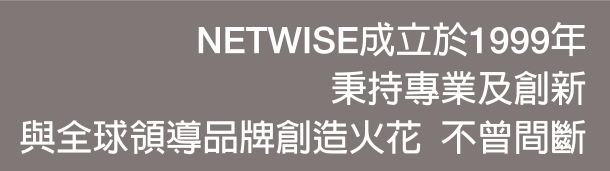 Netwise成立於1999